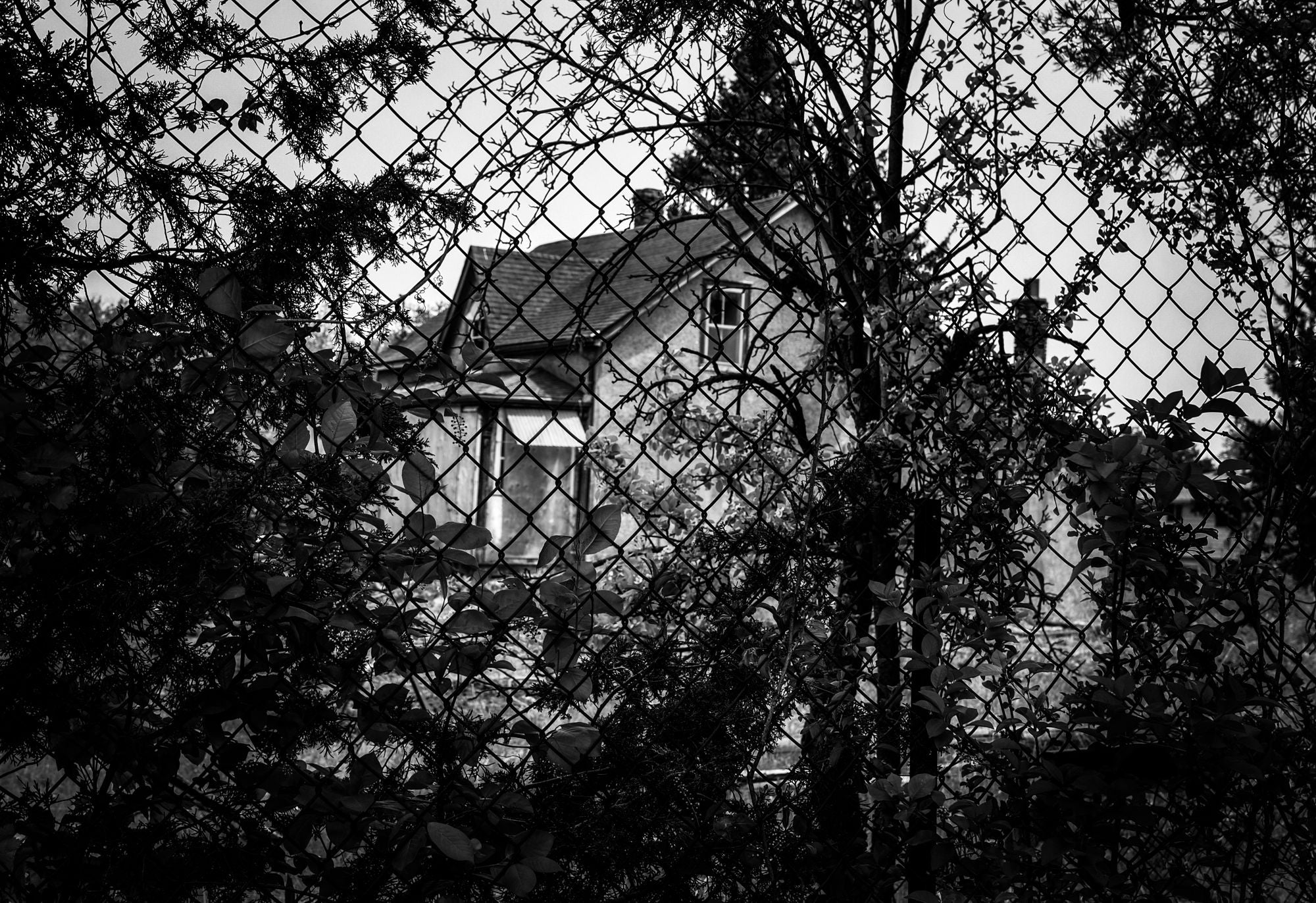 126 - Jennifer Finn Photography -  5x7 Matted Print- Through the Fence- Dundas - 1